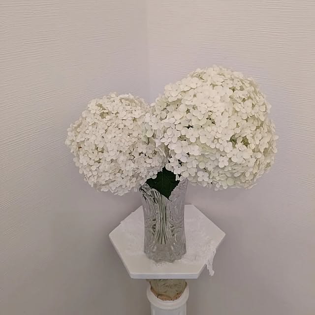machikomamaさんの部屋