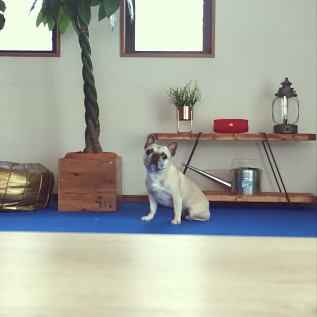 omochiさんの実例写真