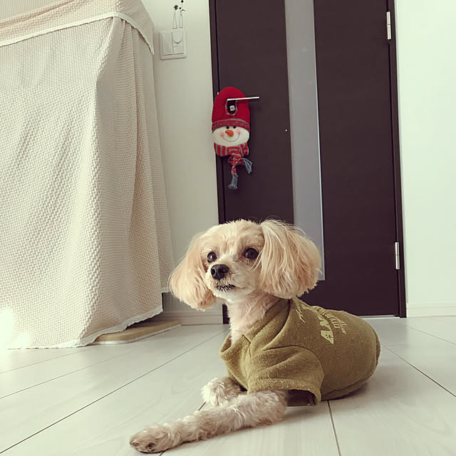 miyumiyuさんの実例写真