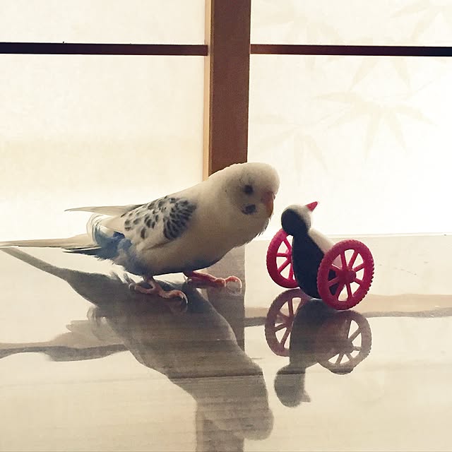 ryouyum126さんの実例写真