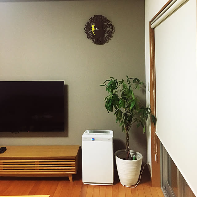 kaoruさんの実例写真