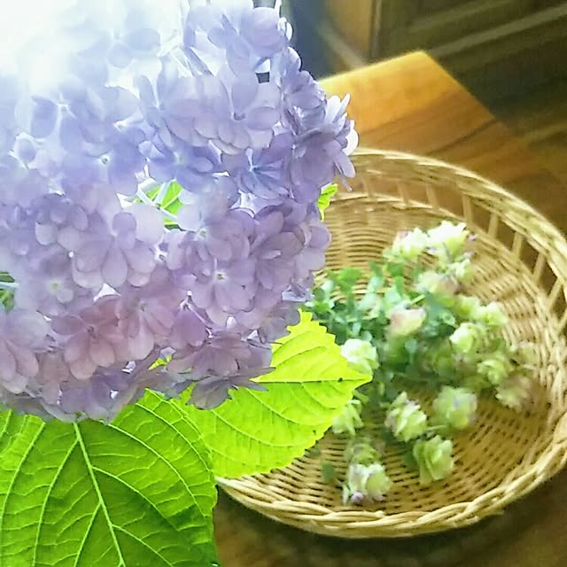 hi-yaさんの実例写真