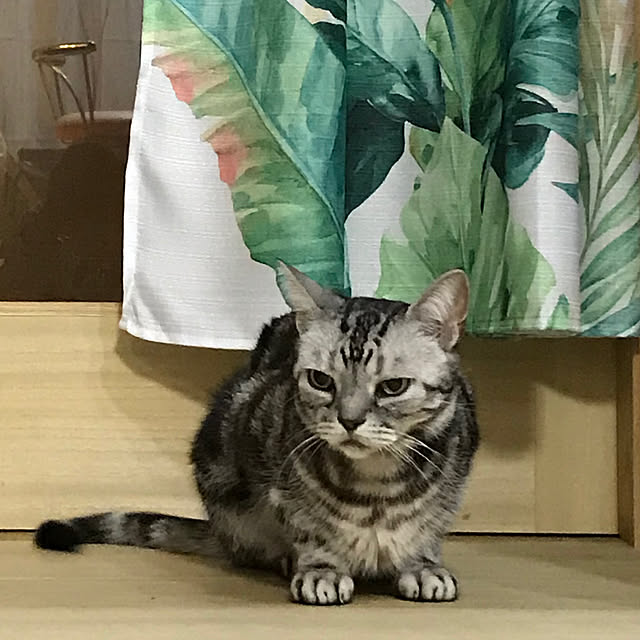 mirurunさんの実例写真