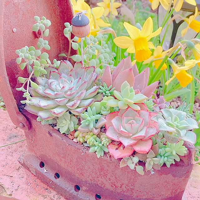 Hanakaさんの実例写真