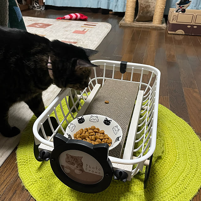 momocchiさんの部屋