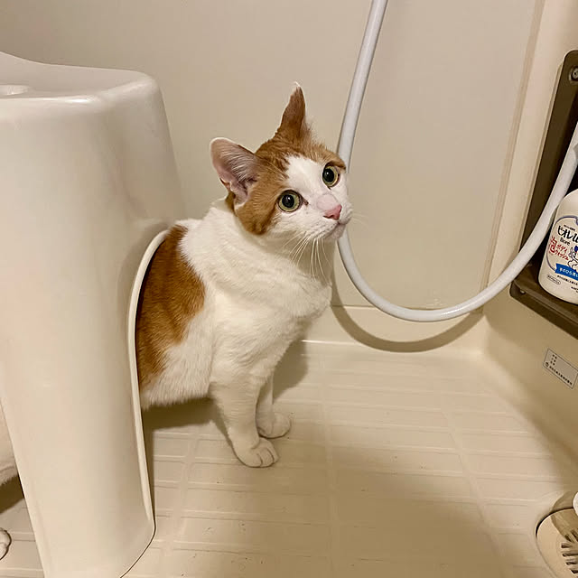 YUKAさんの実例写真