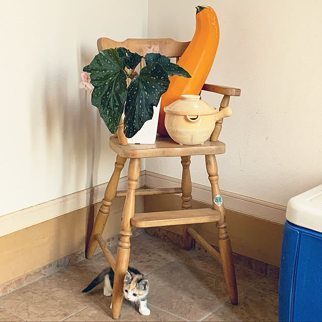 Toyomiさんの実例写真