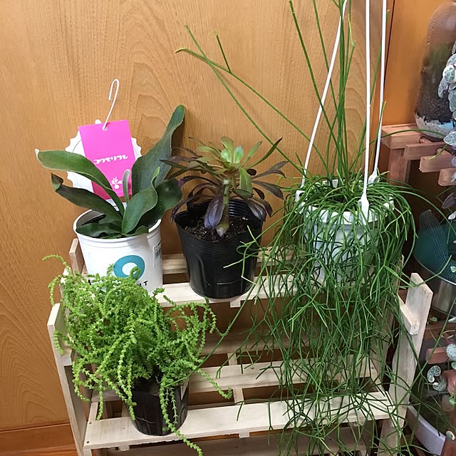 CHIROさんの実例写真
