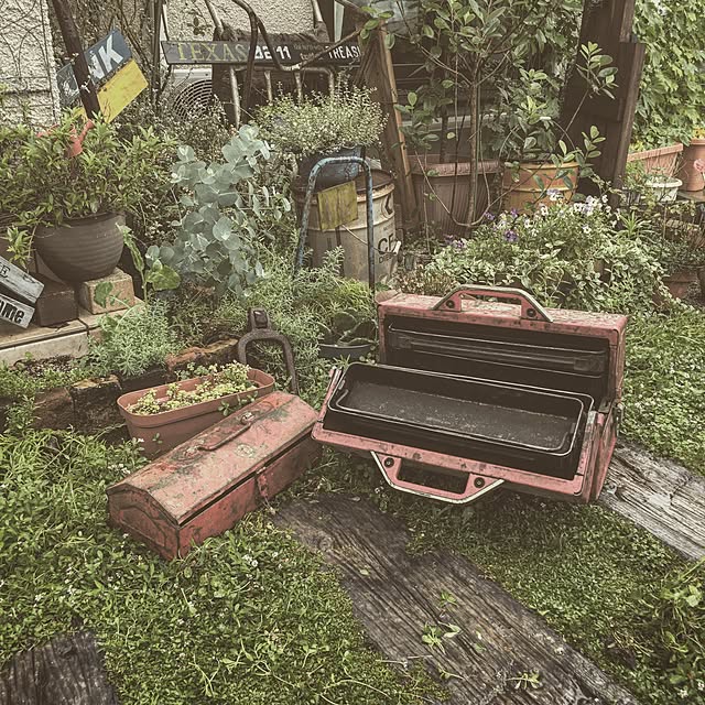 Mikaさんの実例写真