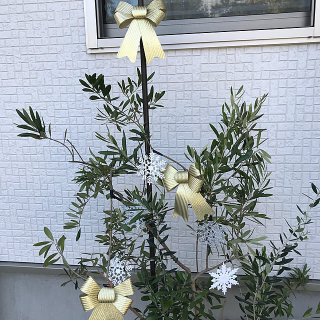 Satokoさんの実例写真