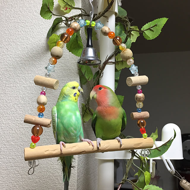 toratanさんの実例写真