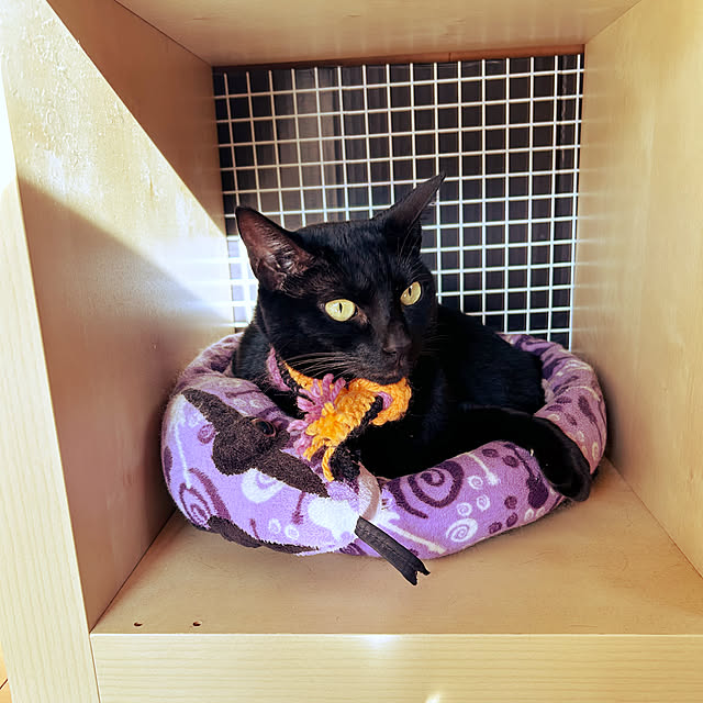 suemonta14さんの部屋