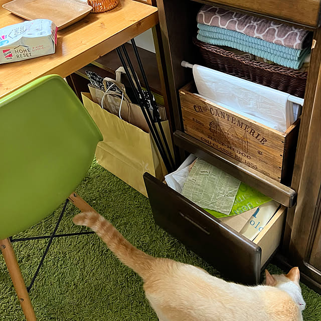 mohhaさんの実例写真