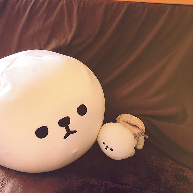 nicoさんの実例写真