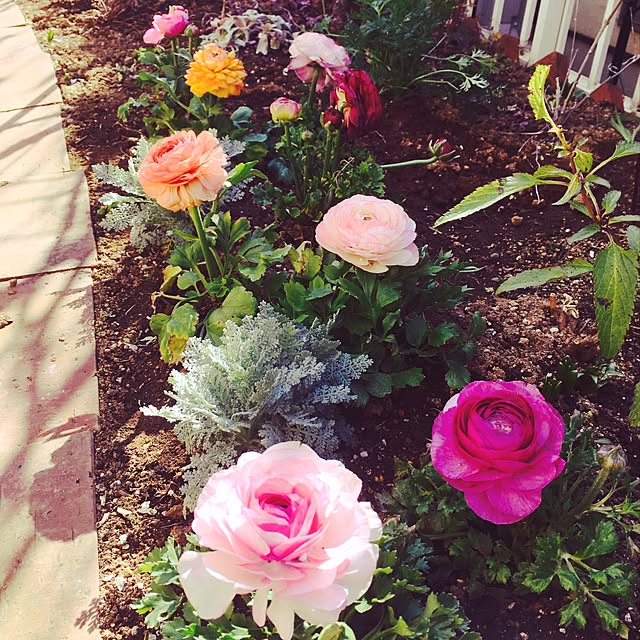 khj1974さんの実例写真