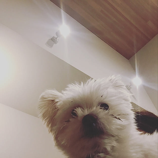 bonさんの実例写真