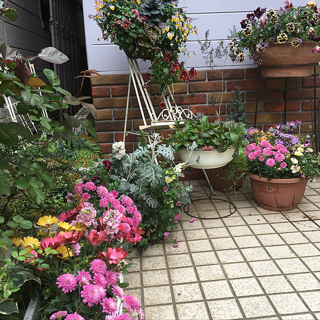 claさんの実例写真