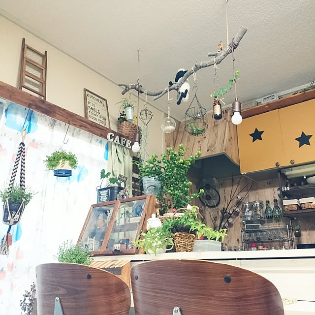 ripさんの実例写真