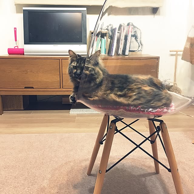 mikomaruさんの実例写真