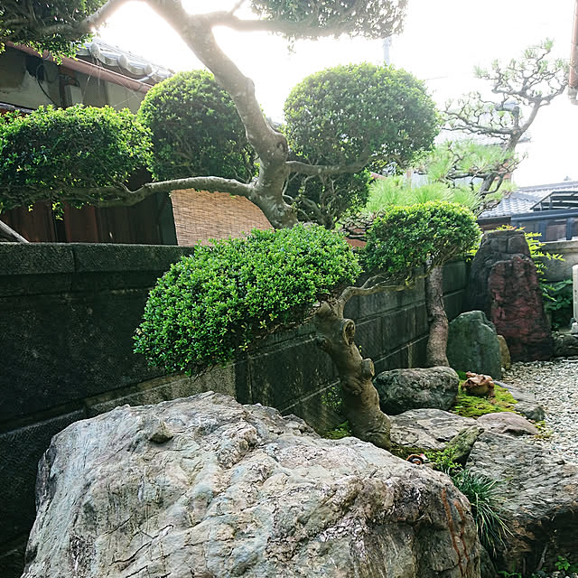 showanoieさんの実例写真
