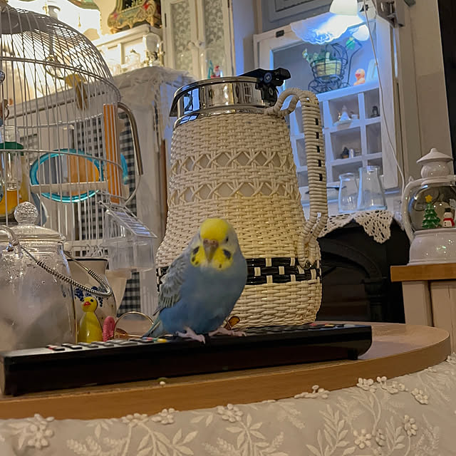 Atsukoさんの部屋