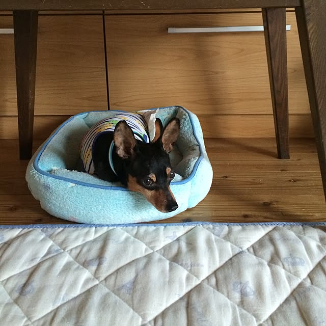 i-miさんの実例写真