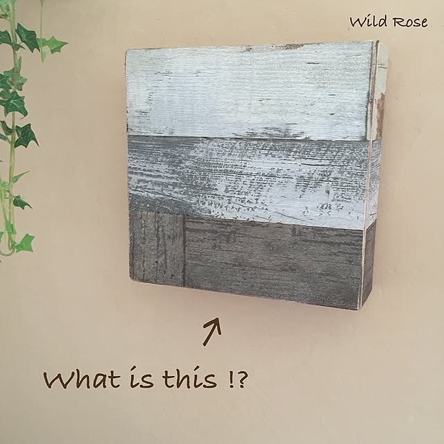 WildRoseさんの実例写真