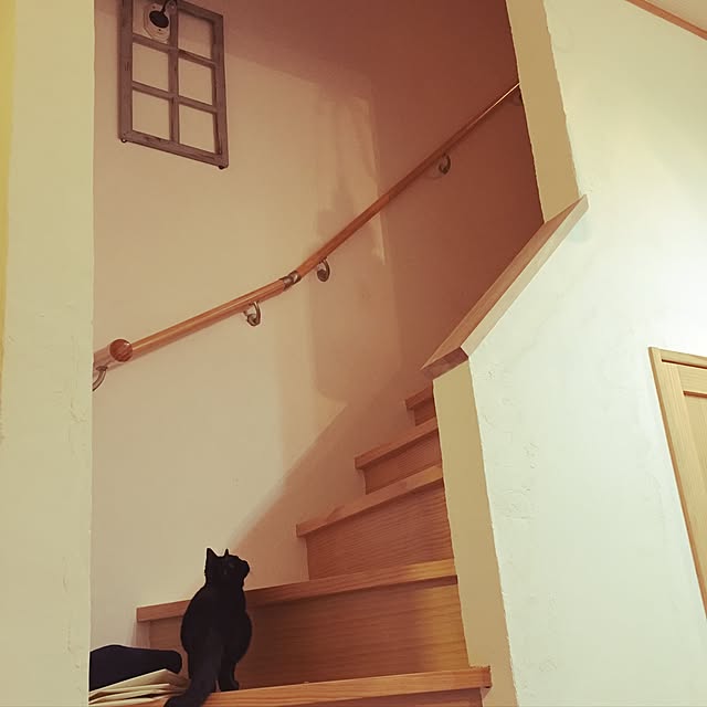 nyankiさんの実例写真