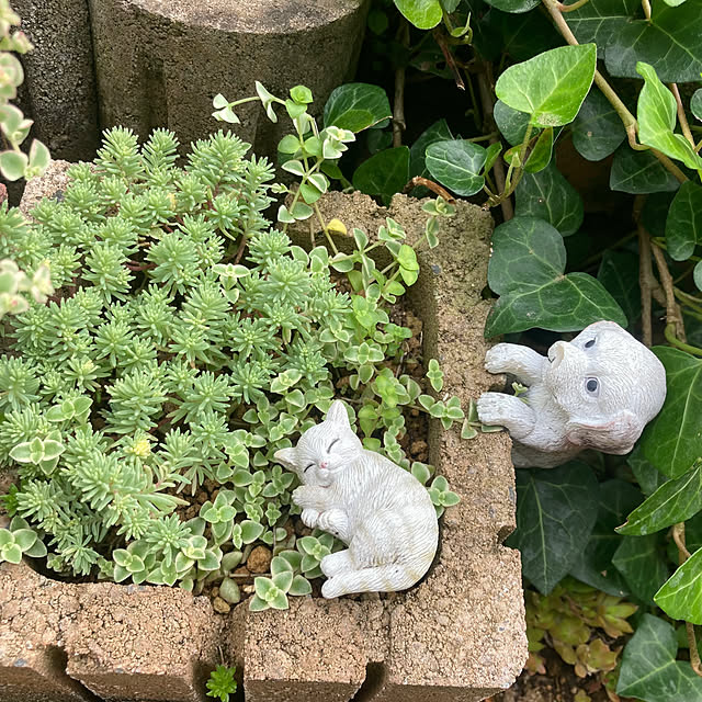 CoCo0617さんの部屋