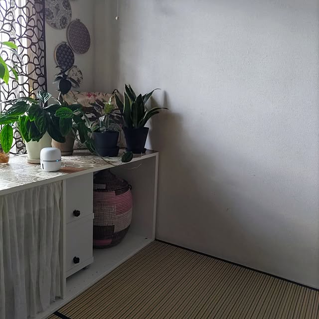 miwaさんの実例写真