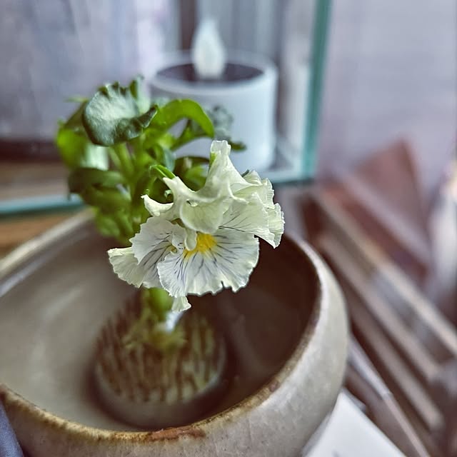 mi-saさんの部屋