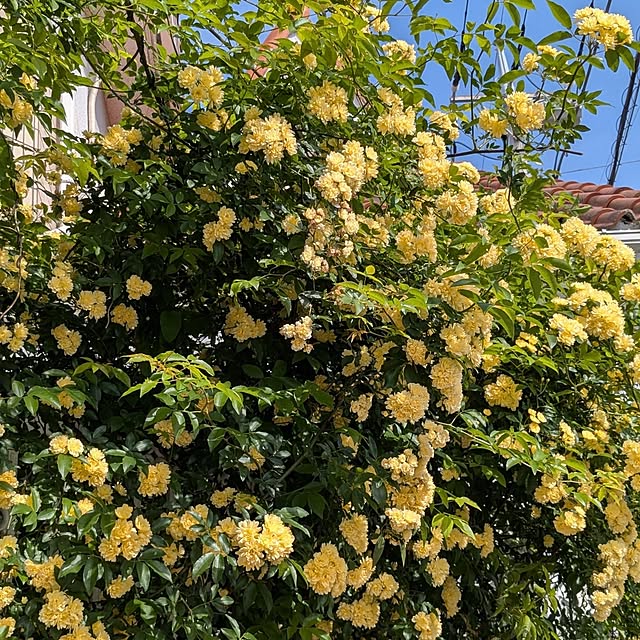 taka.hana4225さんの実例写真