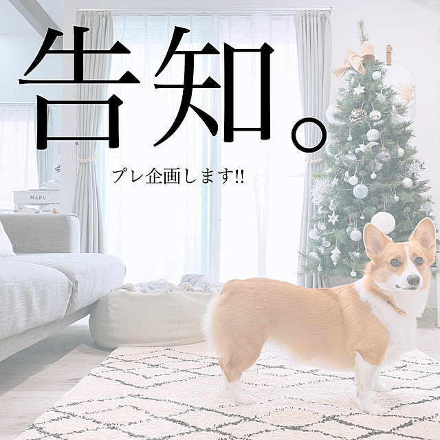 3ayuさんの実例写真