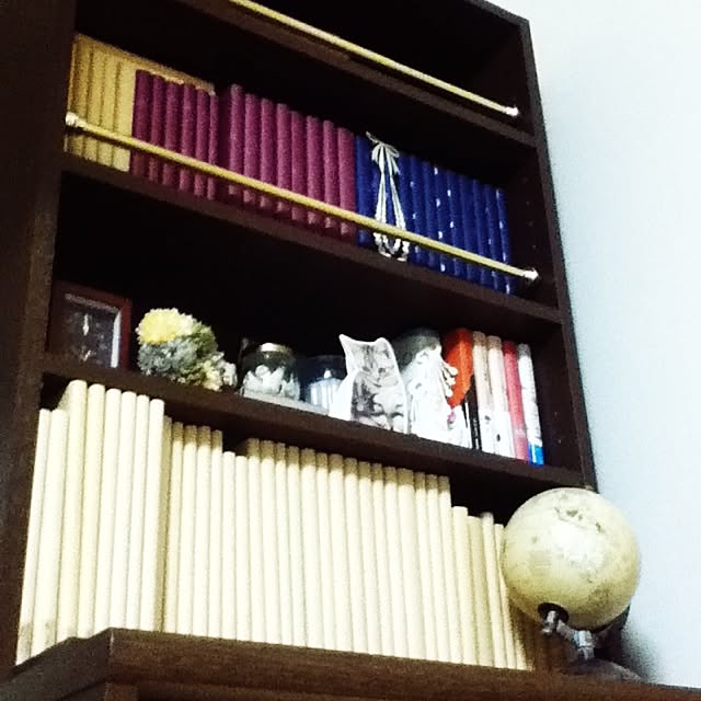 Ritsuさんの実例写真