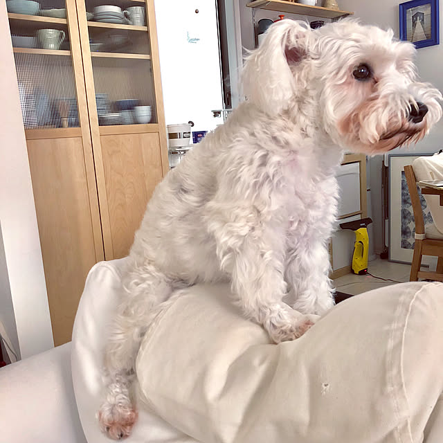 suzyさんの実例写真