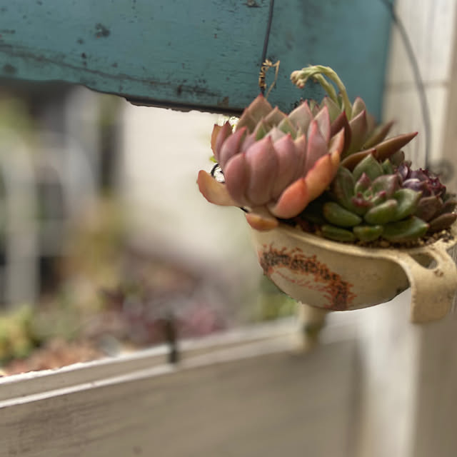 na-chanさんの部屋