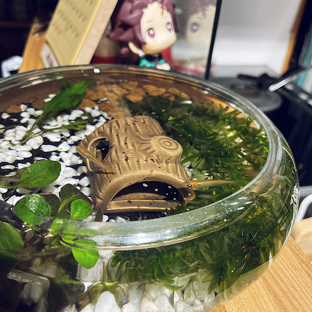 hiroさんの実例写真