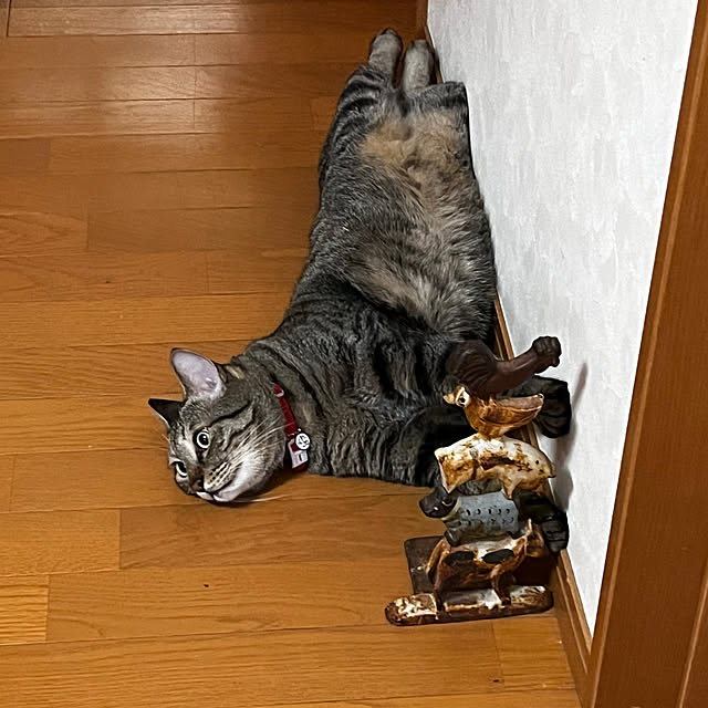 mikan161さんの実例写真