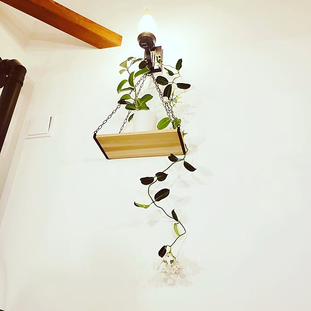 rimoleoさんの実例写真