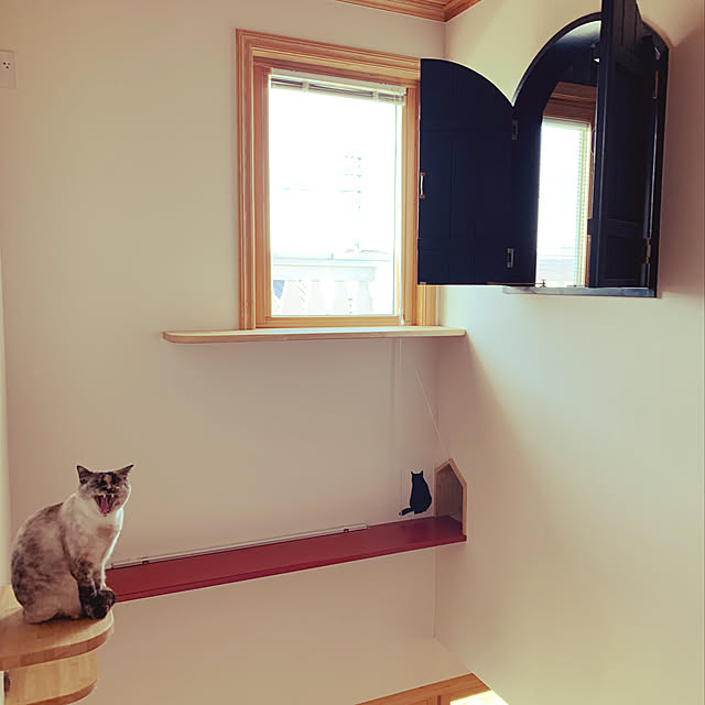 miyaさんの実例写真
