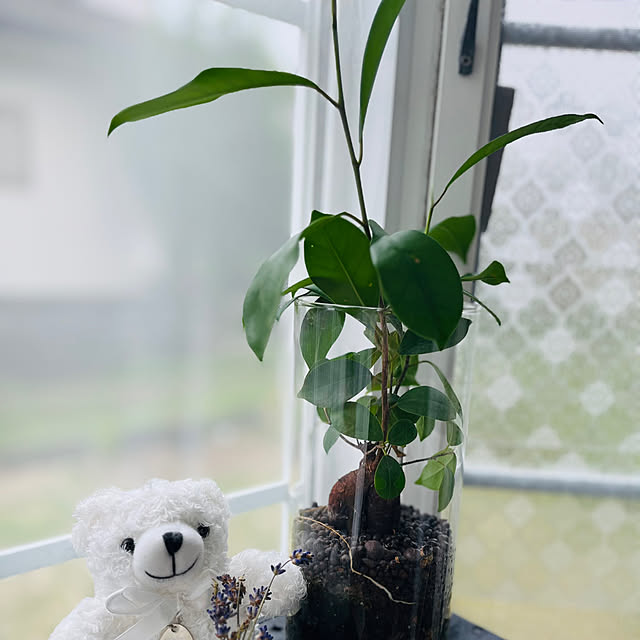 mayumiさんの部屋