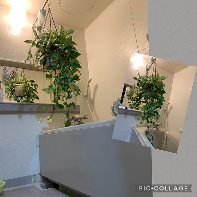Aqettyさんの実例写真