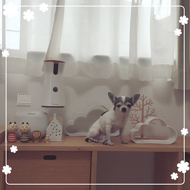 Emiさんの実例写真