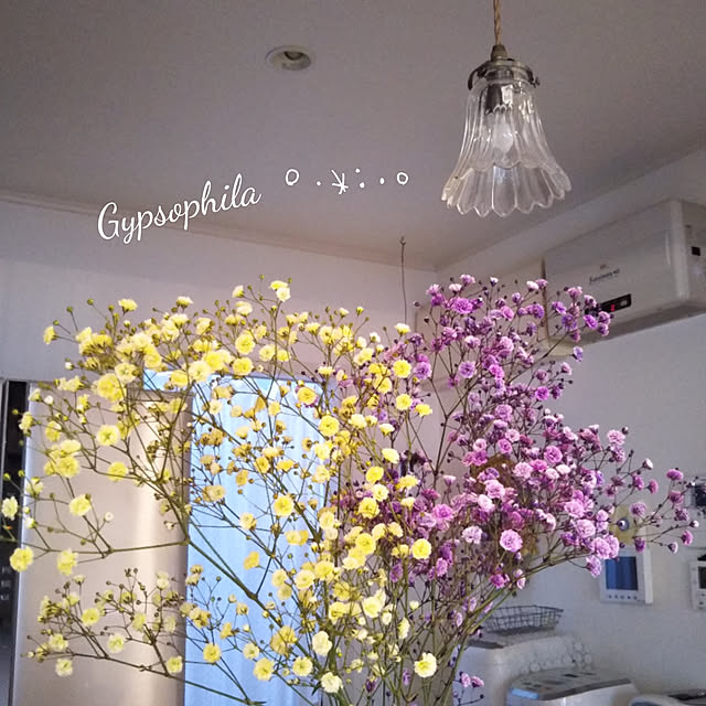 yukkoさんの実例写真