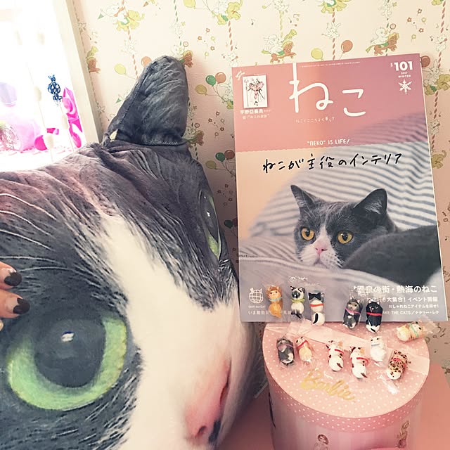 70さんの実例写真
