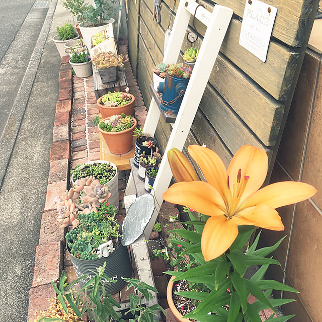 823smileさんの実例写真