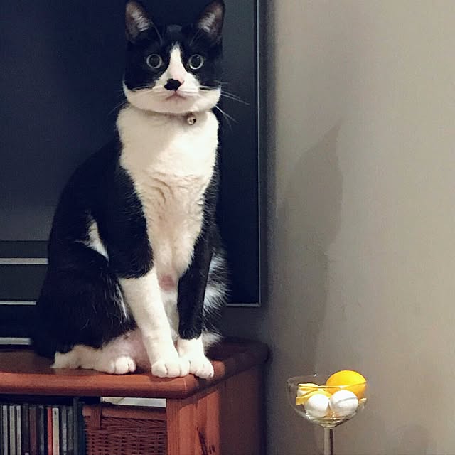 hiyo.pietさんの実例写真