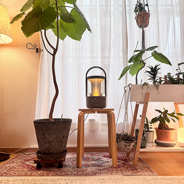 masumiさんの実例写真