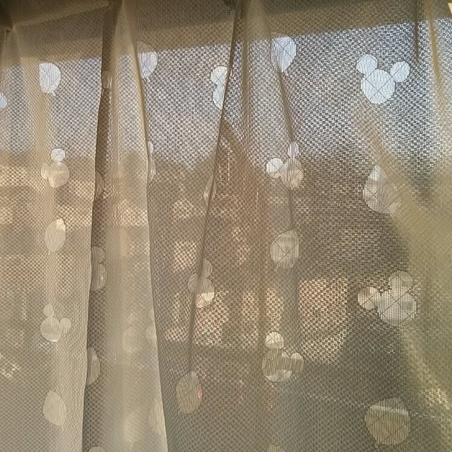 yuruさんの実例写真