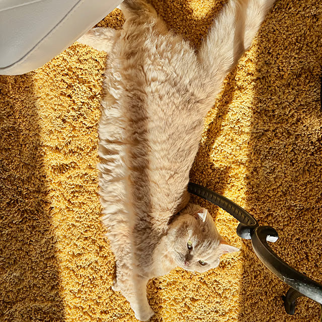 naokoさんの部屋